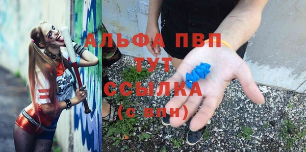 мяу мяу мука Алзамай