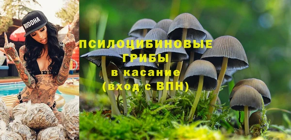 бутират Алексин